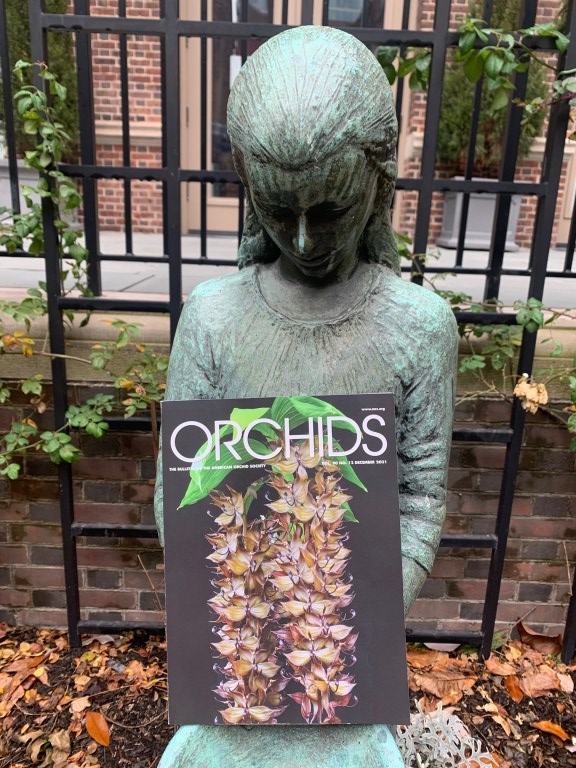 Bronze statue of a girl standing with bowed head. In the foreground positioned above her hands is a copy of Orchids magazine showing the front cover, depicting two orchids.