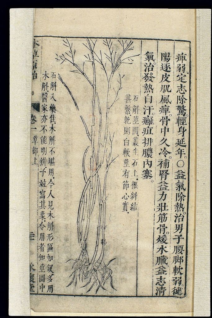 Photograph of a bag from the Chinese Materia Medica Shen Long Bencao Jing, with a drawing of orchid plants surrounded on both sides by Chinese characters.